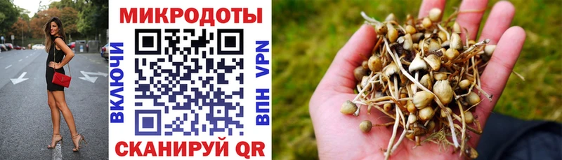 Галлюциногенные грибы ЛСД  Купить закладки  Медынь 